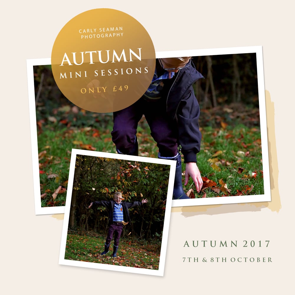 Image of AUTUMN MINI SESSIONS