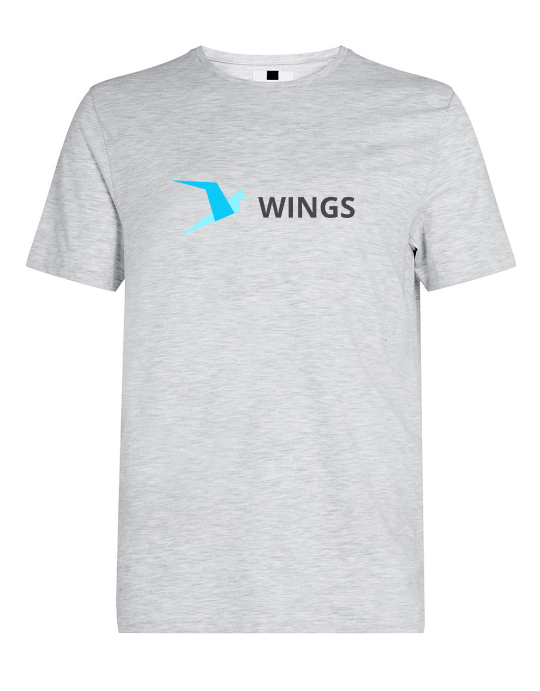 Image of Wings Grey T-shirt