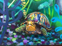 Image 4 of "Myrtle & The Turtle”