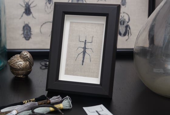 Image of Embroidered beetle stick in frame