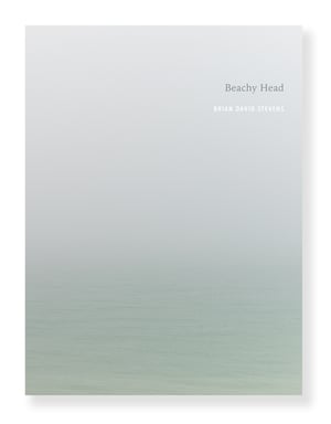 Brian David Stevens - Beachy Head