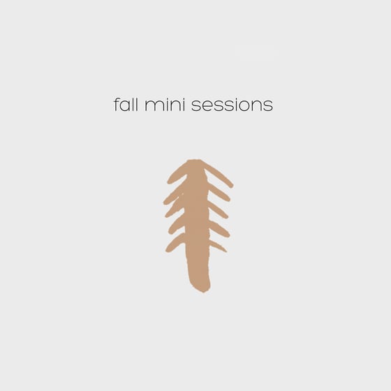 Image of Fall Mini Session // September 17th