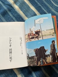 Image 3 of Shuji Terayama, "To Die In The Countryside: Grass Labrynth." 1983