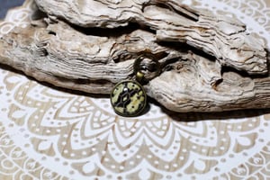 Image of ‘Bumblebee’ Bronze Collection- Madagascar Hognose