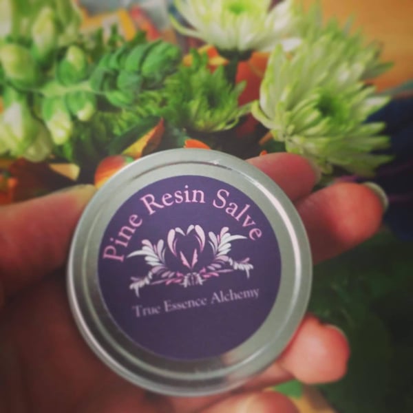 Image of Pine Resin Salve