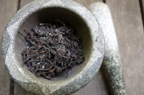 Image of GOTU KOLA spagyric tincture - alchemically enhanced plant extraction