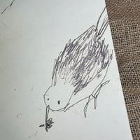 Image 3 of Documenting the Eurasian Treecreeper (zine)