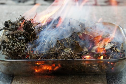 Image of GOTU KOLA spagyric tincture - alchemically enhanced plant extraction