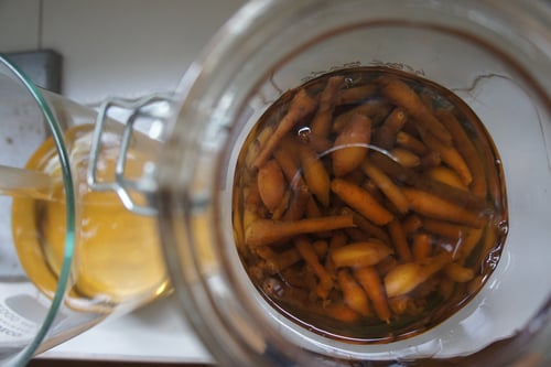 Image of FINGER ROOT spagyric tincture - alchemically enhanced plant extraction