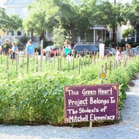 Image of Farm to School Program Sponsor