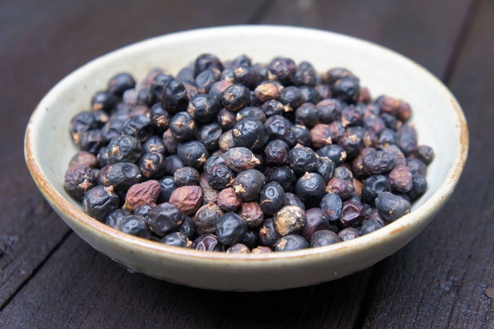 Image of JUNIPER BERRY spagyric tincture - alchemically enhanced plant extraction