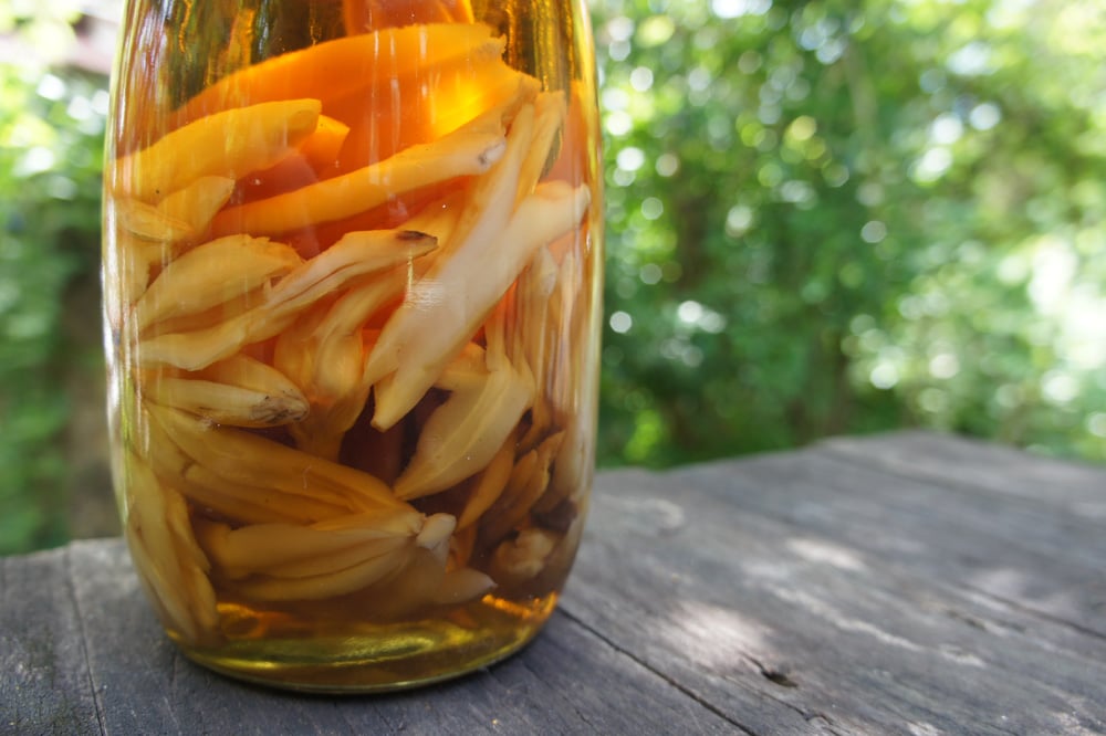 Image of WILD ASPARAGUS ROOT spagyric tincture - alchemically enhanced plant extraction