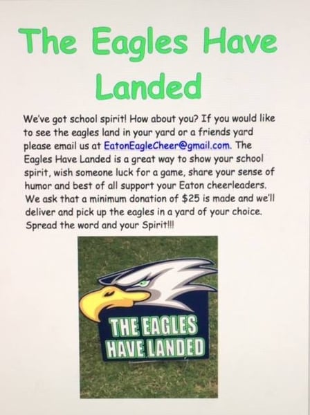 Image of Eagles Have Landed