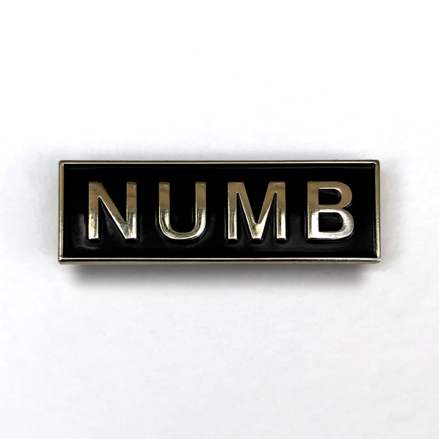 Image of NUMB Pin