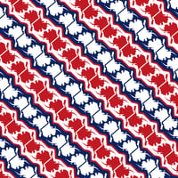 Image 3 of Alaska Pattern Yoga Pants - Merica