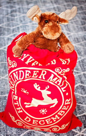 Image of Santa Gift Bag