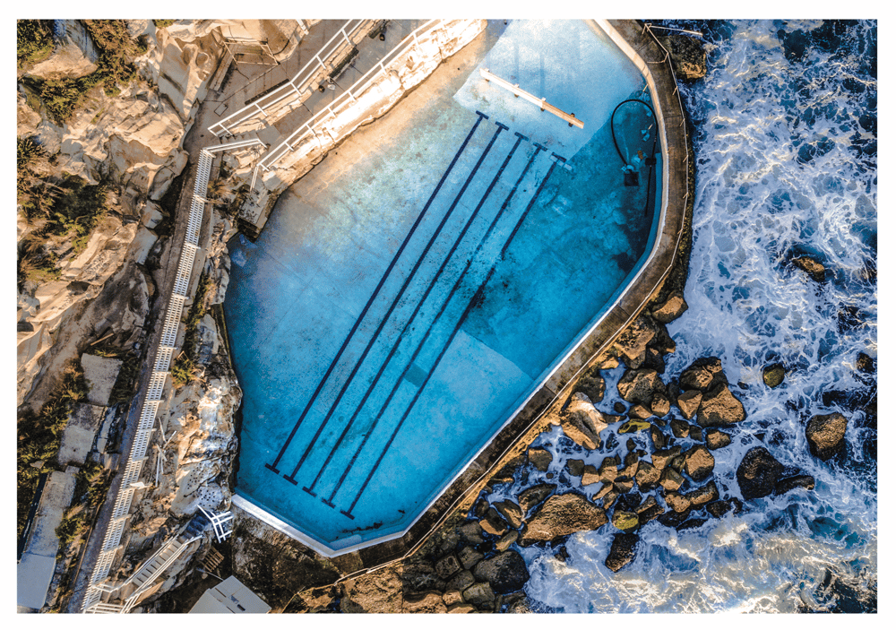 Image of The Pool Cleaner