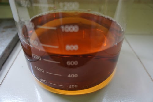 Image of WILD ASPARAGUS ROOT spagyric tincture - alchemically enhanced plant extraction