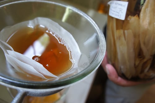 Image of WILD ASPARAGUS ROOT spagyric tincture - alchemically enhanced plant extraction