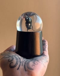 Image 4 of Resin Beetle Stand 1