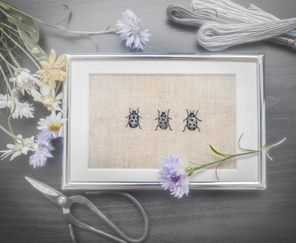 Image of Three embroidered ladybirds in frame