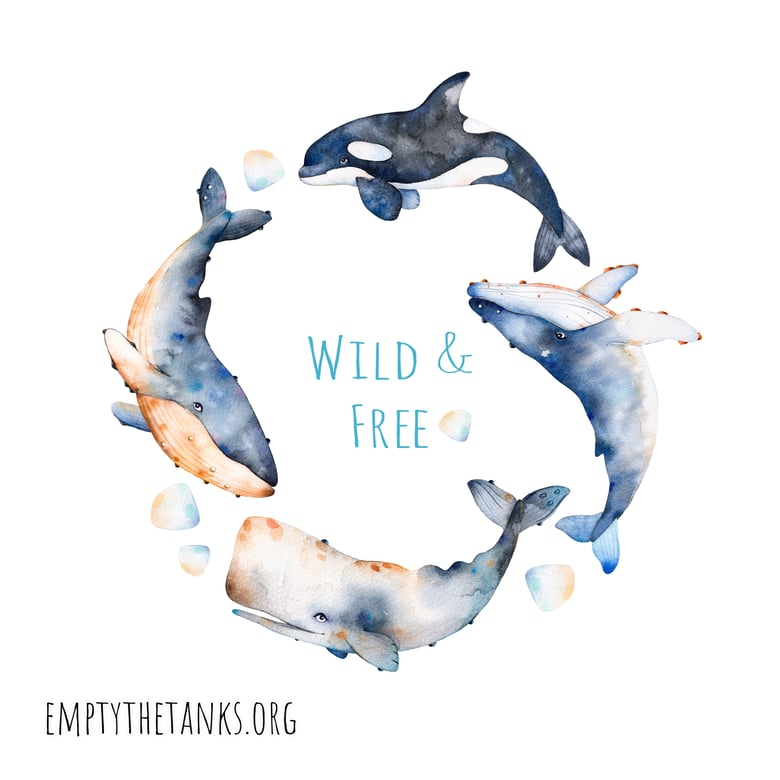 Image of Wild & Free Empty the Tanks Sticker