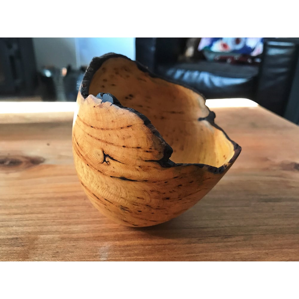 Image of Live edge pitch pocket yellow cedar burl bowl