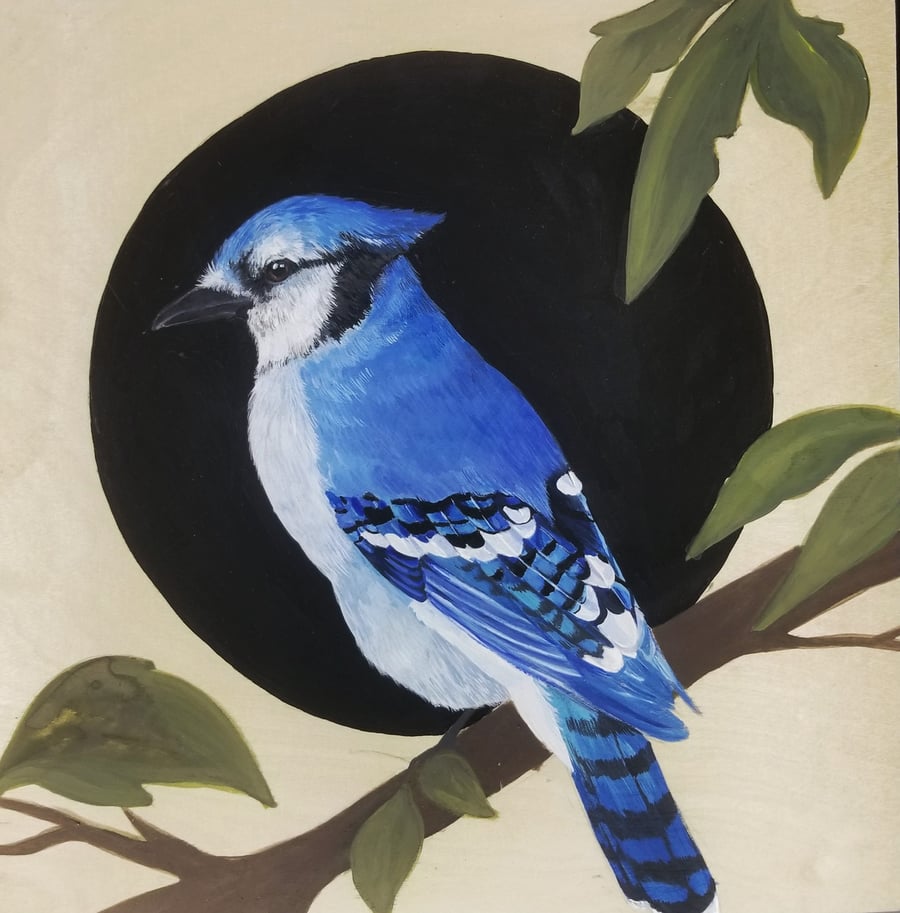 Image of Blue Jay