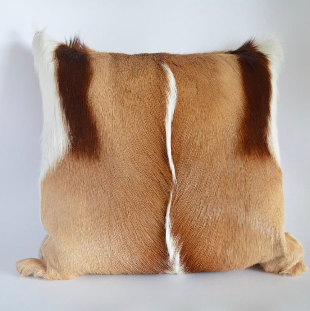 Image of Springbok and Leather Cushion