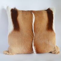 Image 1 of Springbok and Leather Cushion
