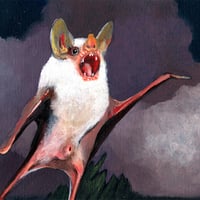 Image 1 of Ninos du Brasil - Vida Eterna (CD)