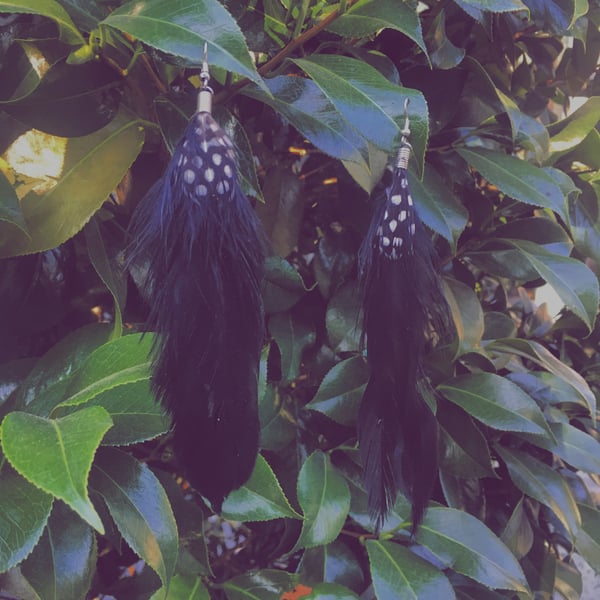 Image of Ruffled Feather Raven Black Earrings