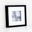 Framed Paper Cut Butterfly