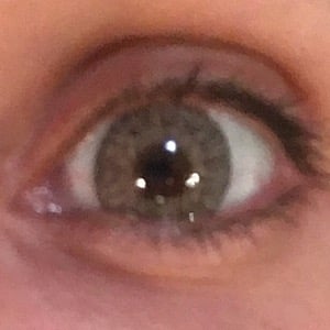 FreshTone Jupiter Brown