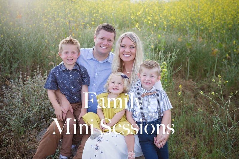 Image of Family Mini Session