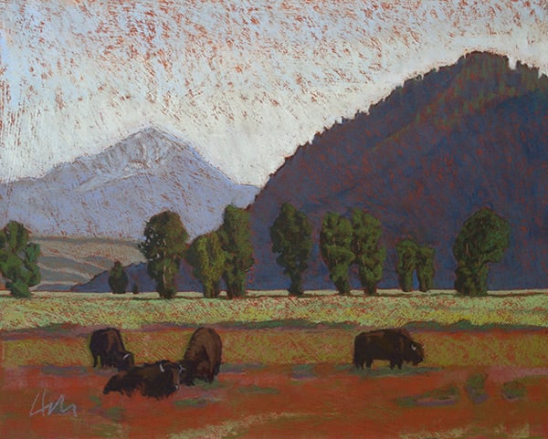 Image of Bison and Butte