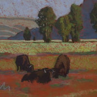 Image 3 of Bison and Butte