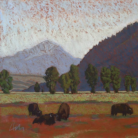 Image of Bison and Butte