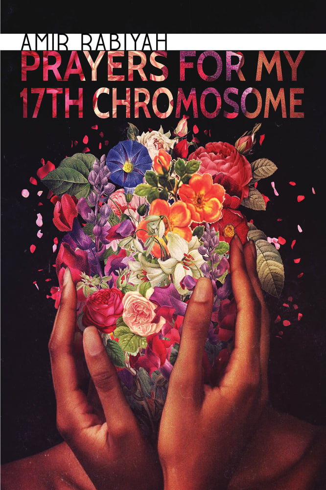 Image of Prayers for My 17th Chromosome by Amir Rabiyah (Publishing Triangle Finalist)