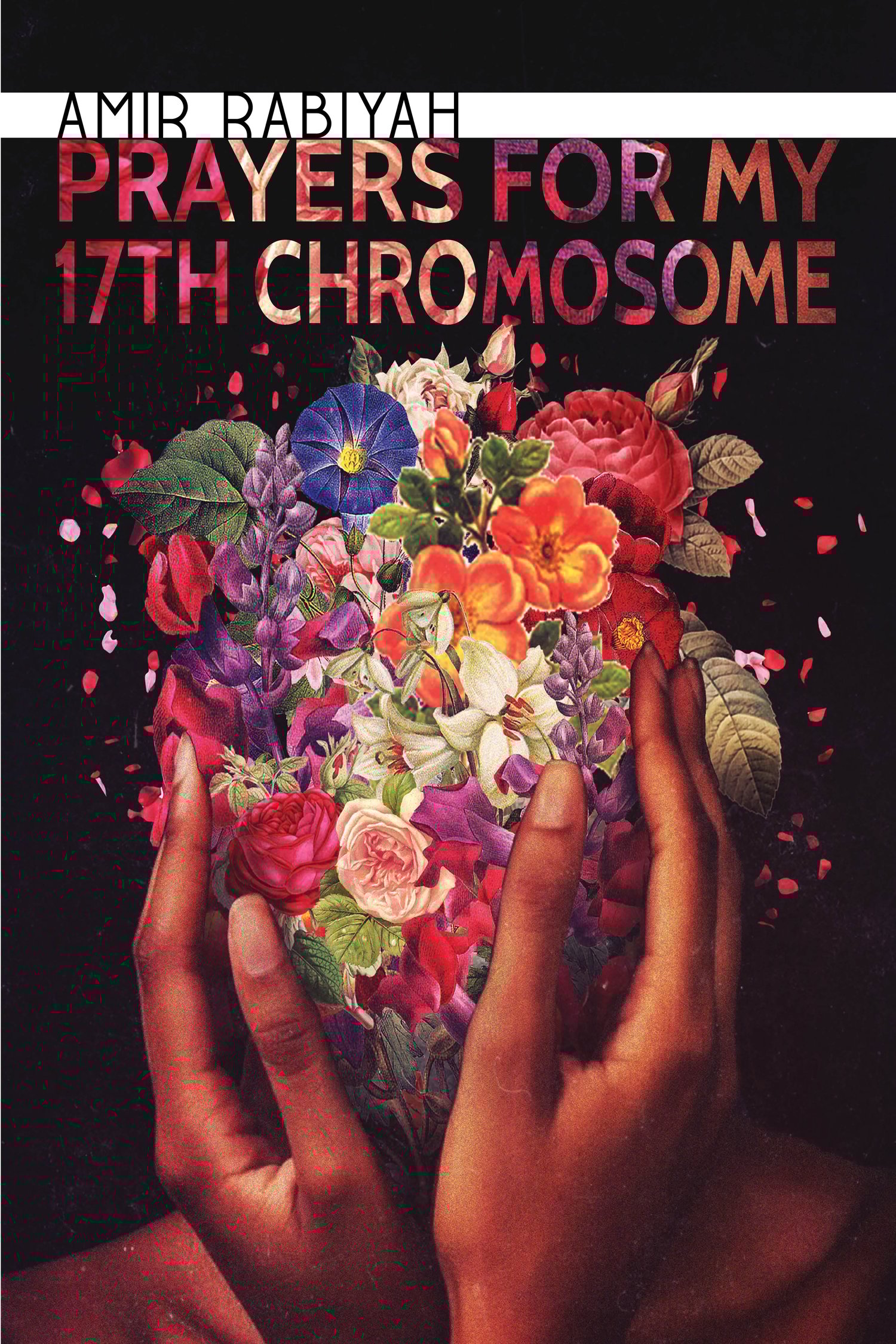 Image of Prayers for My 17th Chromosome by Amir Rabiyah (Publishing Triangle Finalist)