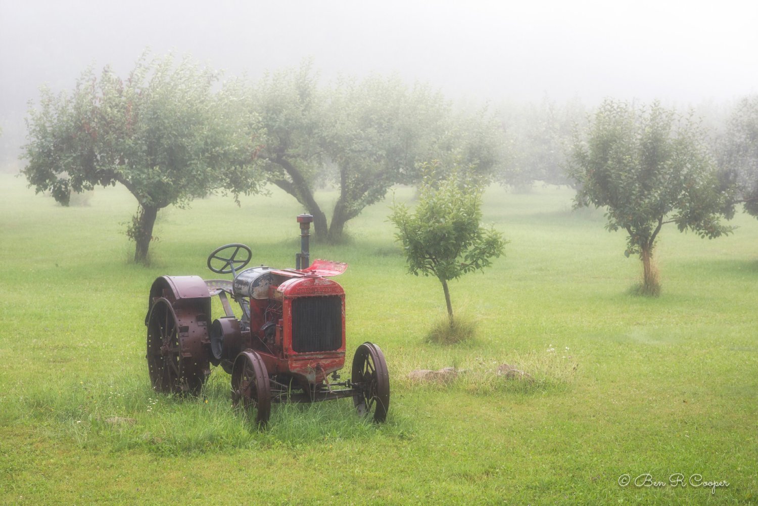 Misty Morning in Bayfield