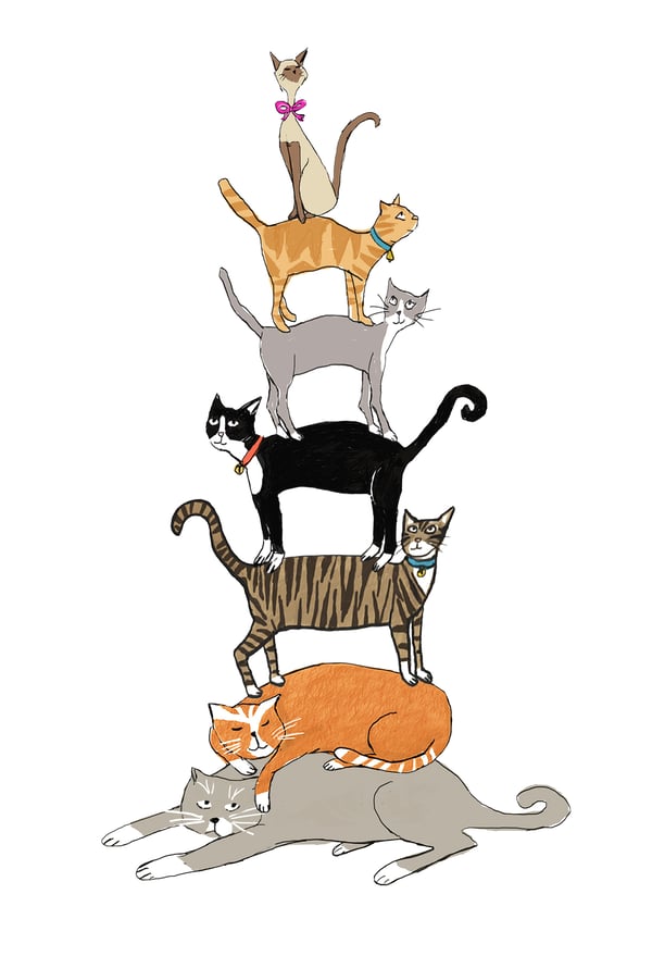Image of Cat Stack