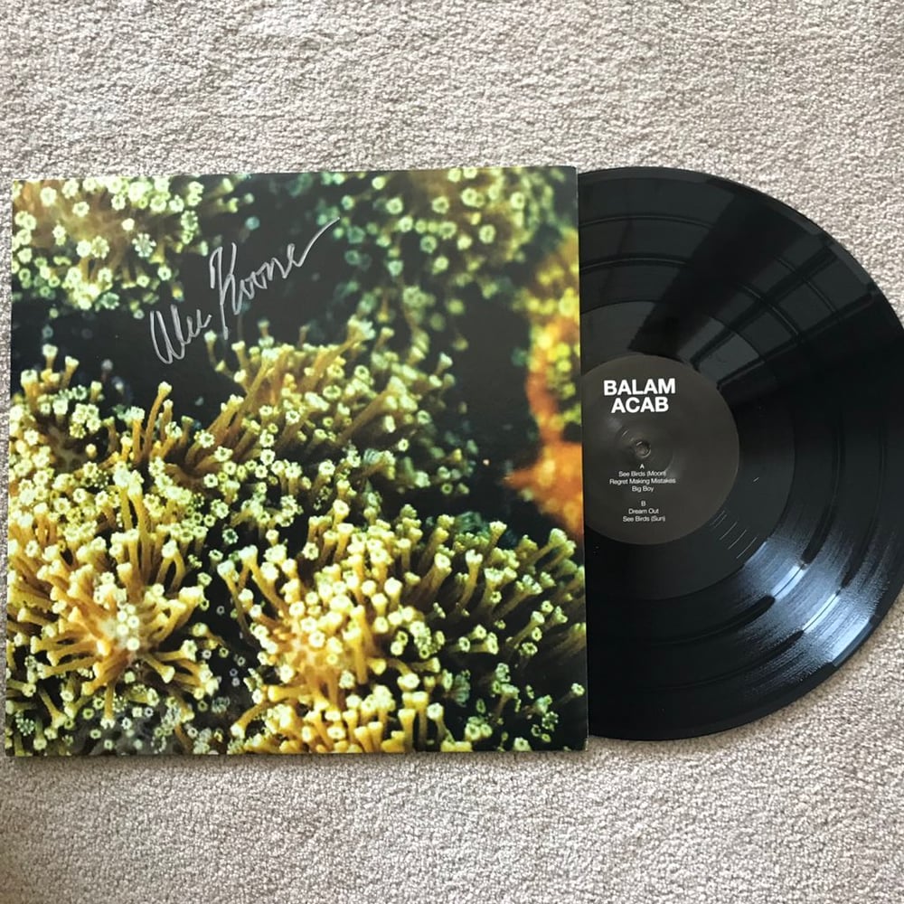 Image of SEE BIRDS 12" EP - 1st Vinyl Pressing - *Autographed* (OOP)