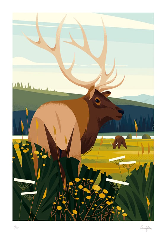 Image of YELLOWSTONE - The great deer