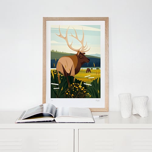 Image of YELLOWSTONE - The great deer