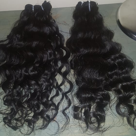 Image of Raw Burmese Curly