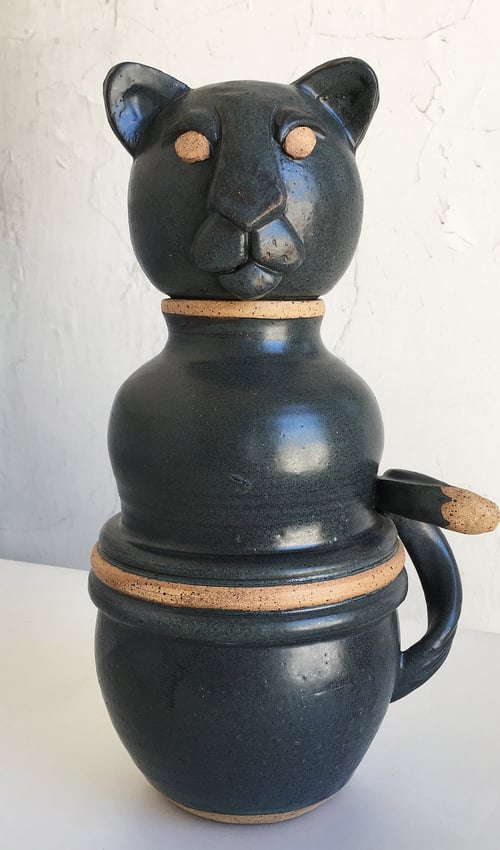 Image of Jackson, the Black jaguar