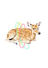 Deer Animal Nursery Print