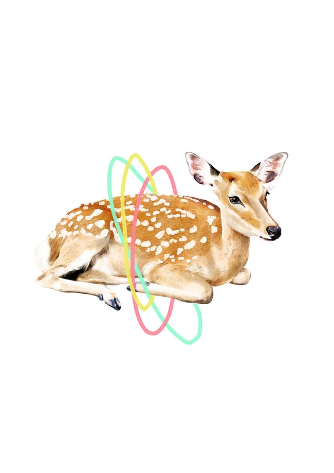 Deer Animal Nursery Print