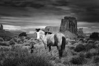 A Guide Who Knows The Way